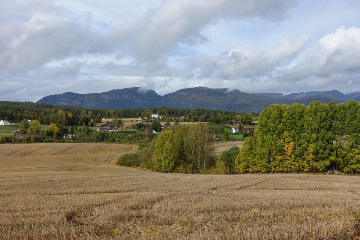 Living in small-town Norway: Bø i Telemark in different seasons A Farm in Bø i Telemark with autumnal foliage