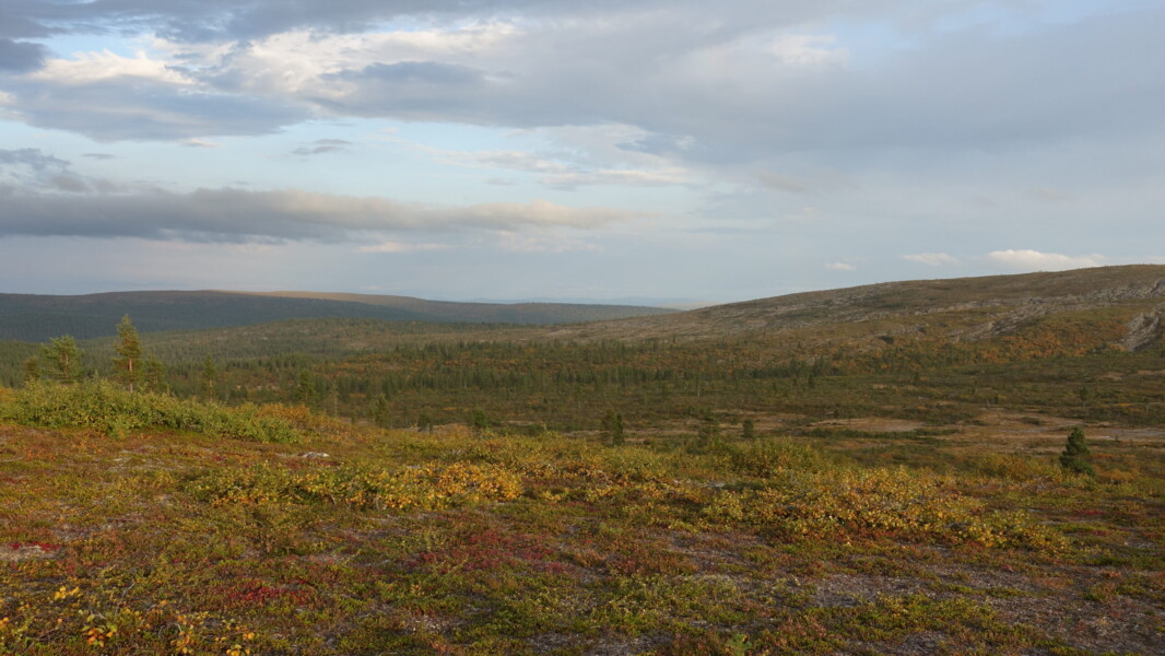 Panoramic views from Iisakkipaa, outside of Inari, with autumnal foliage