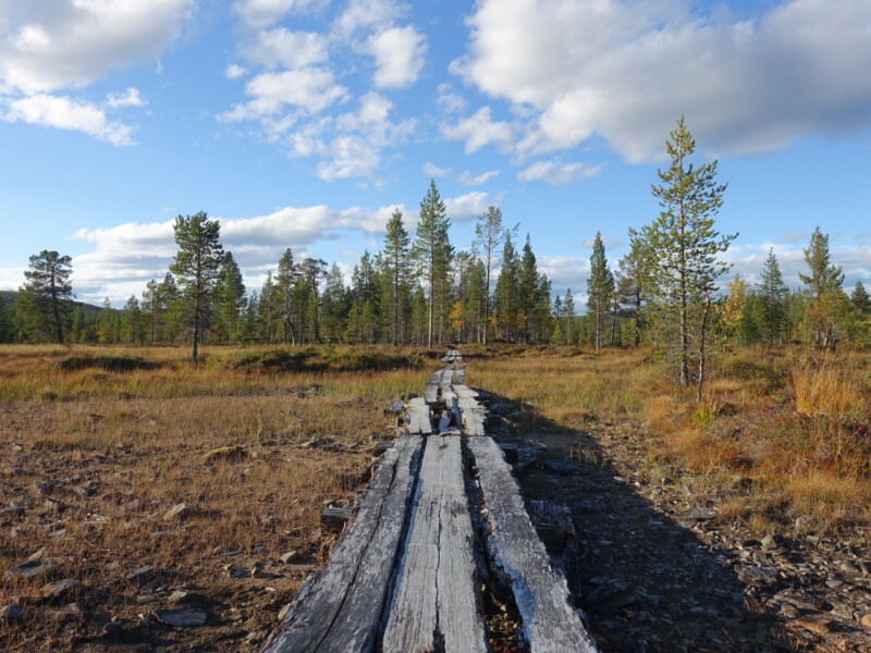 Boardwalk in urho Kekkonen National Park