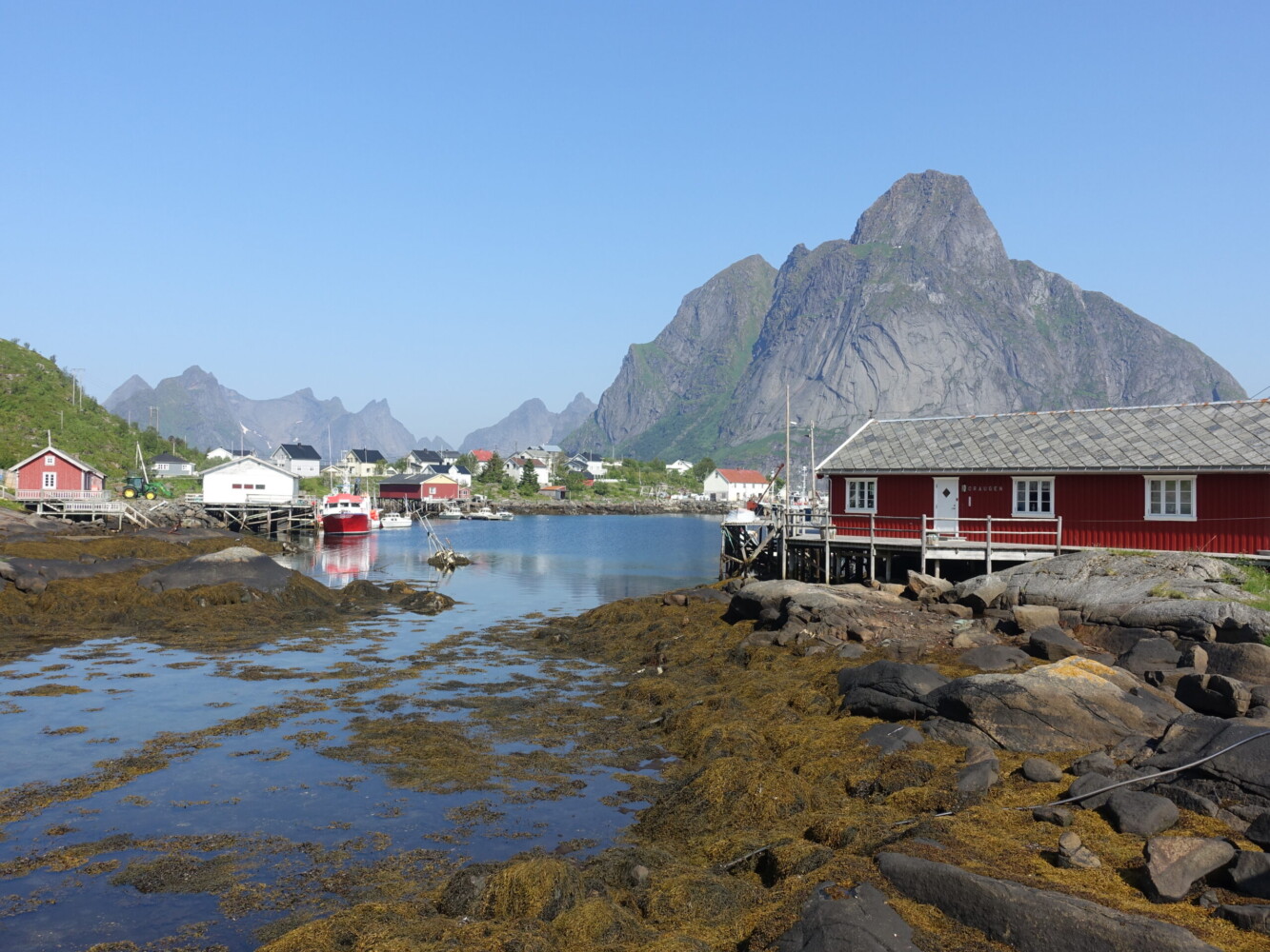 Reine