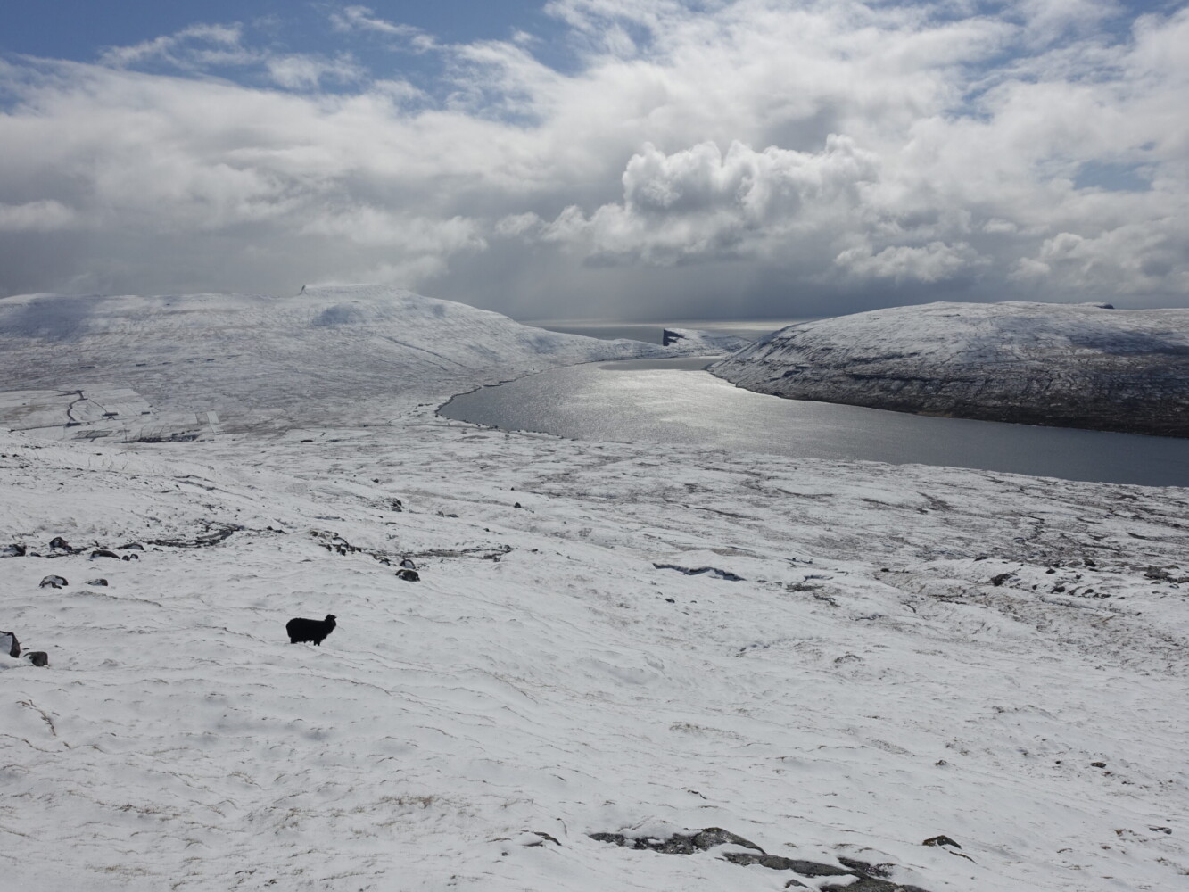 Late afternoon as the snow passes