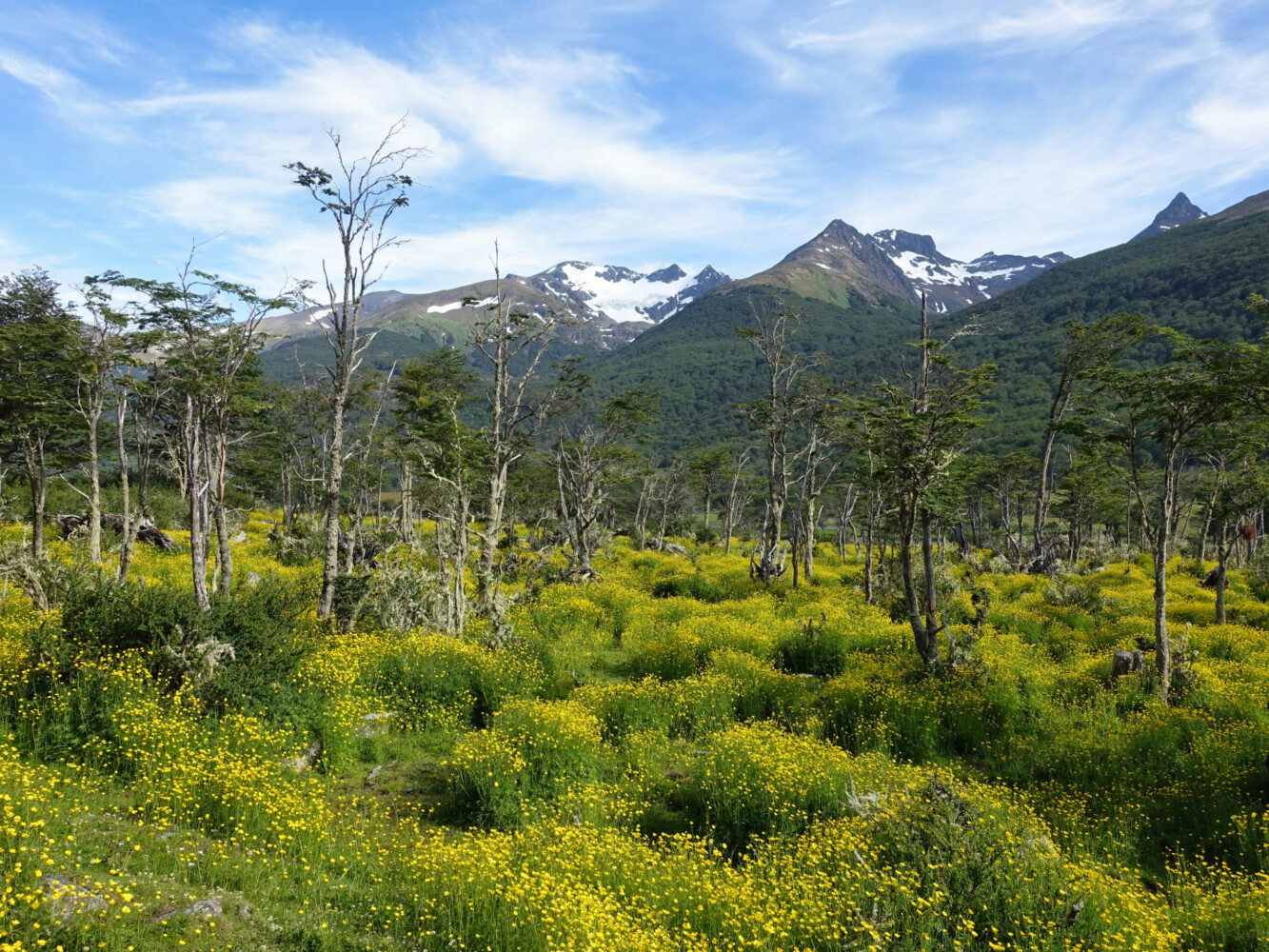 Valley below Galciar Vinciguerro