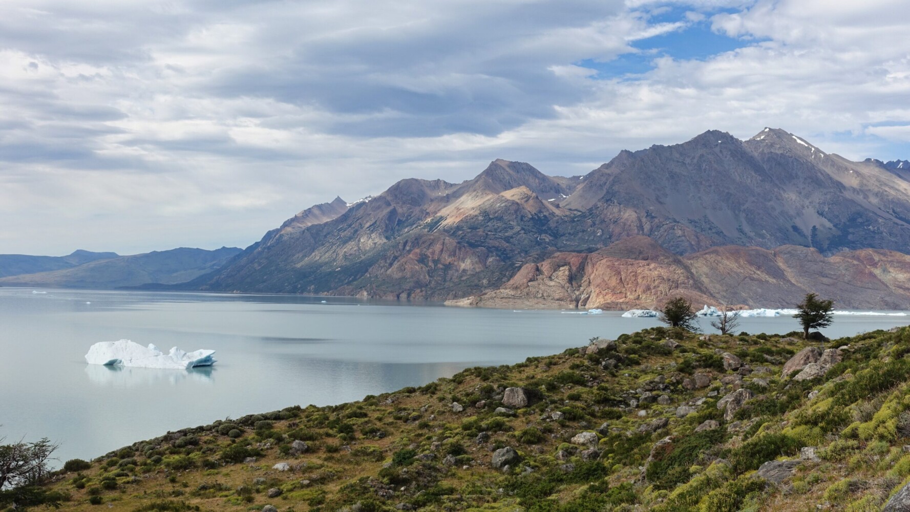 View of Laguna Viedma and Glaciar Viedma