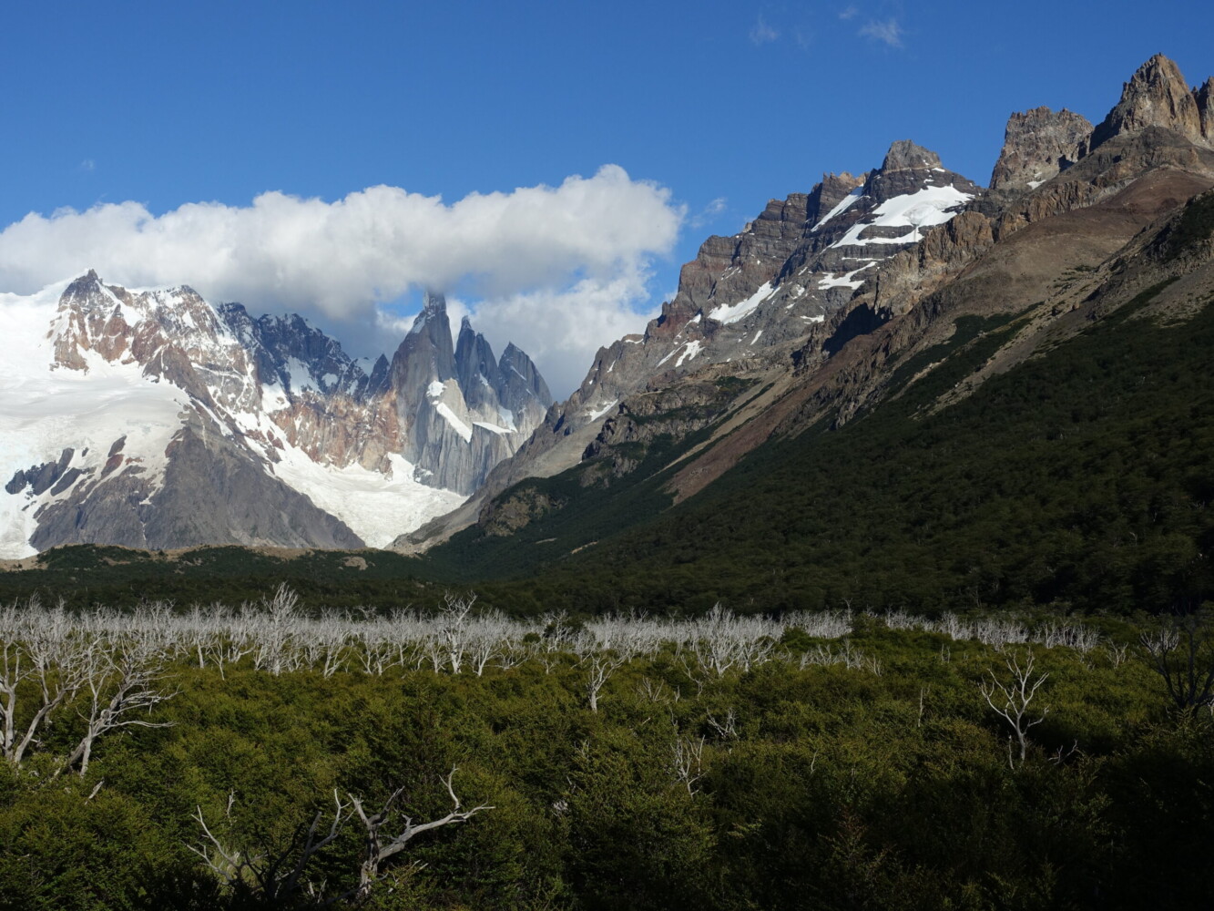 Cerro Torre