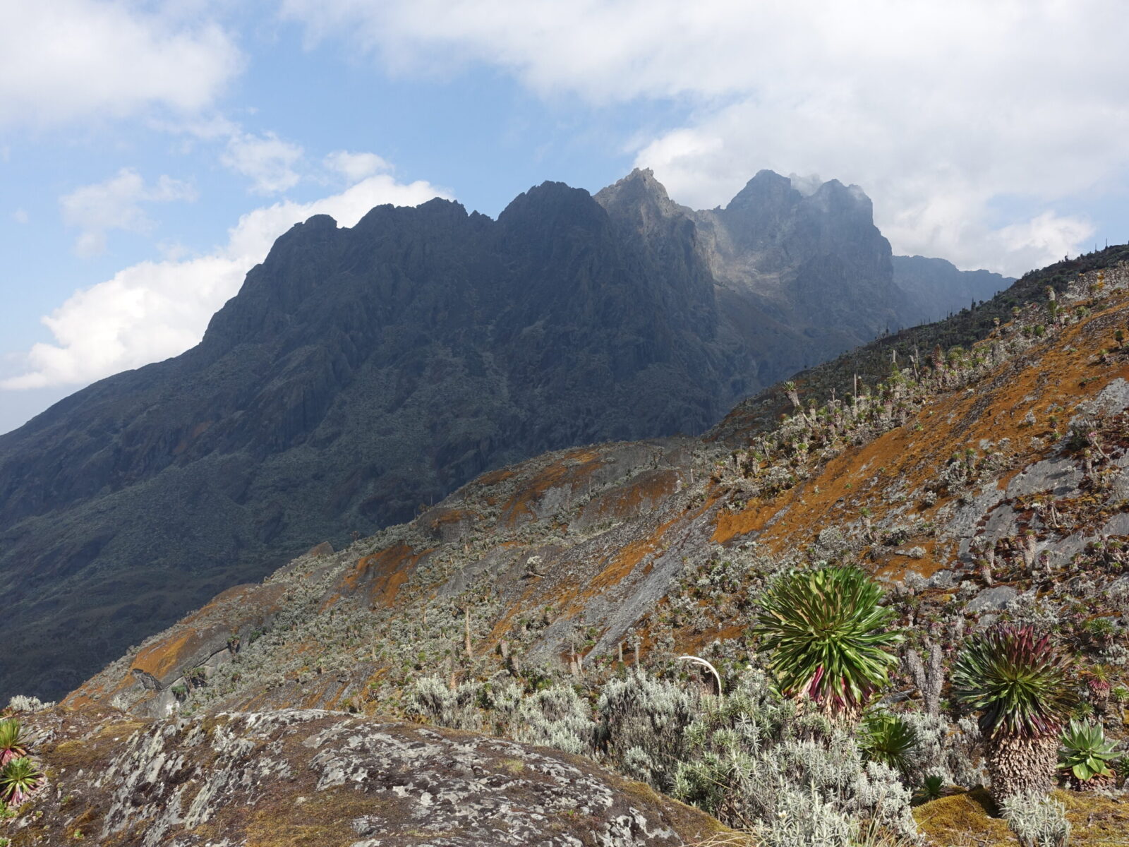 Mount Stanley from Freshfield Pass Freshfield Pass