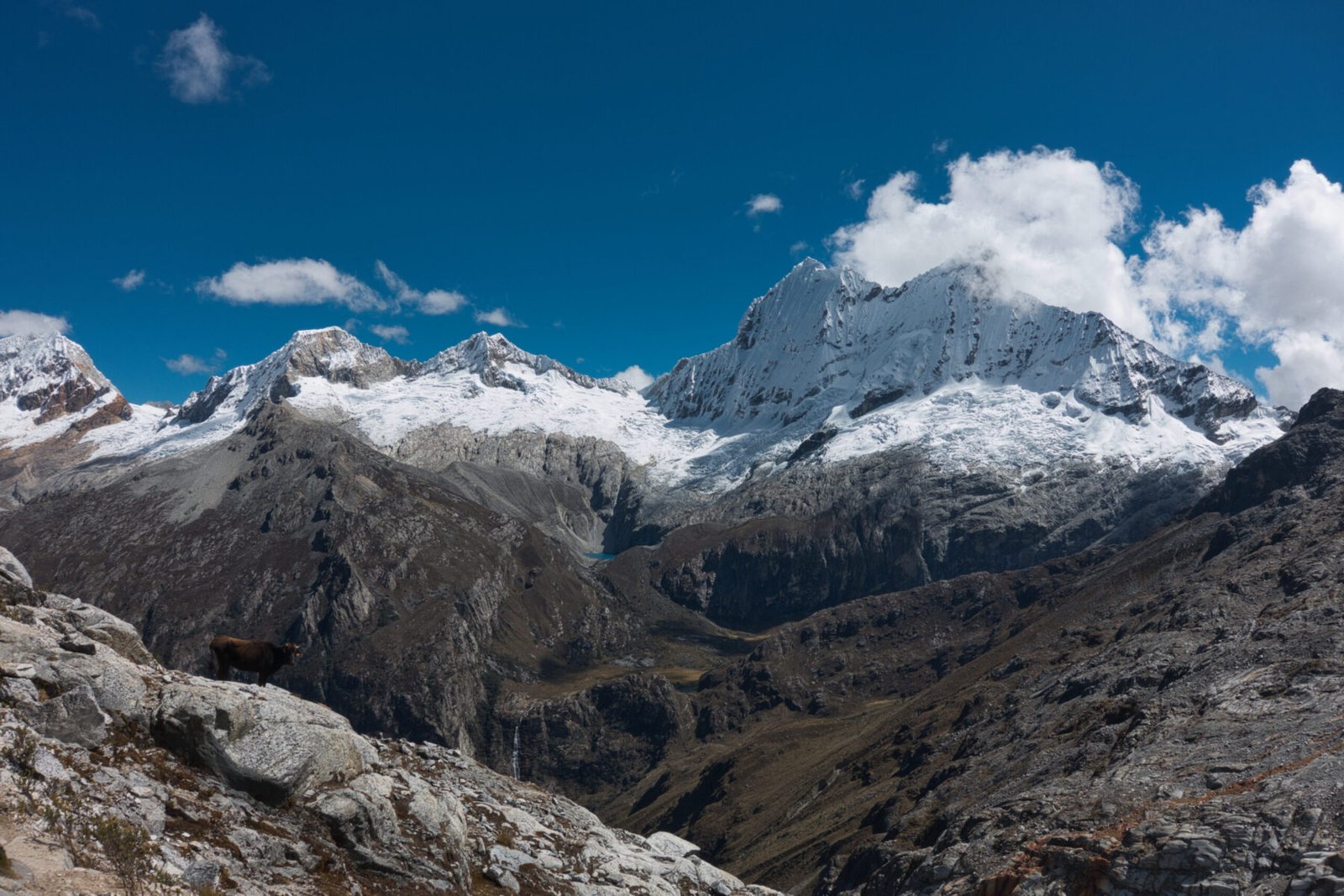 Views from the walk back to km42