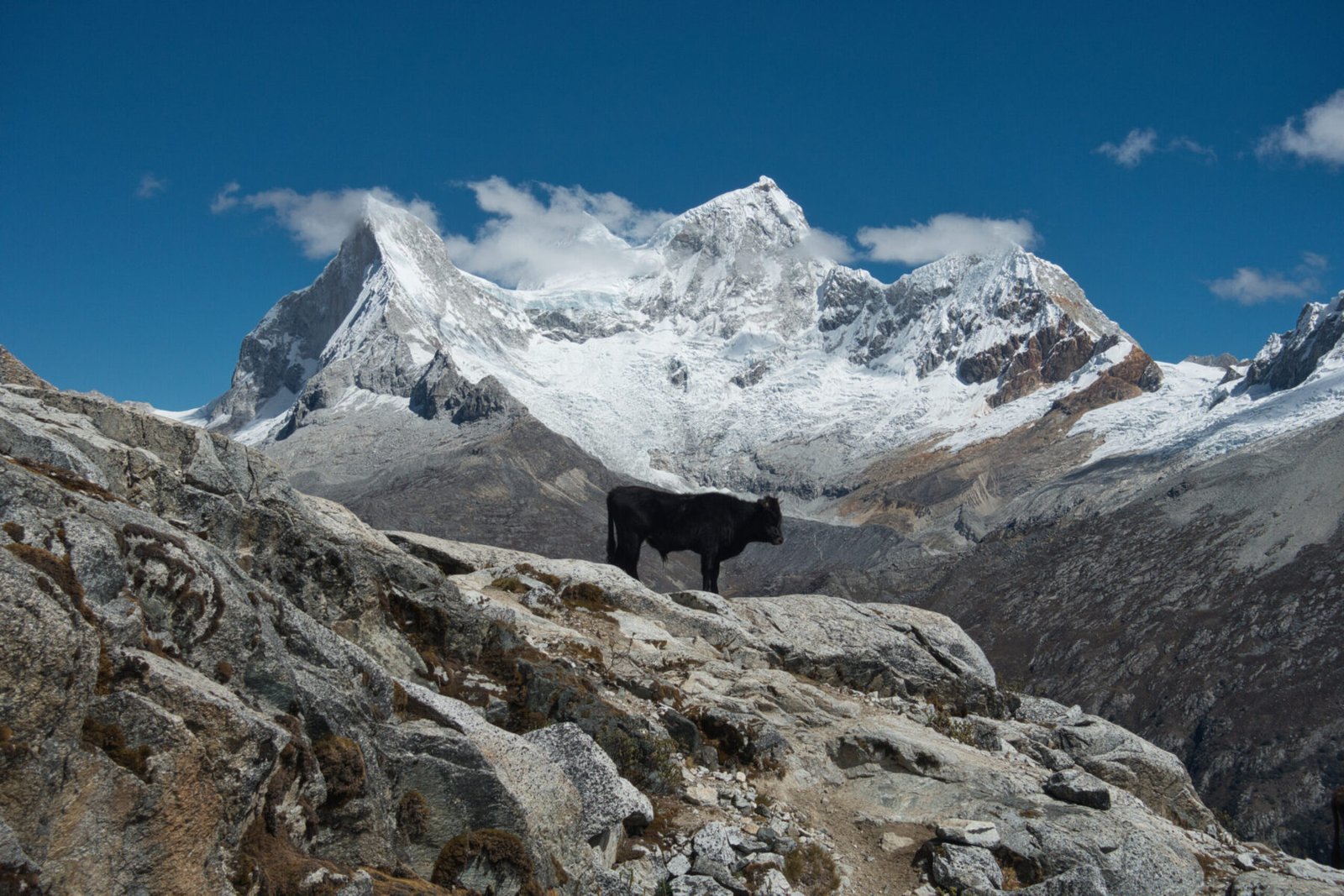 Views from the walk back to km42