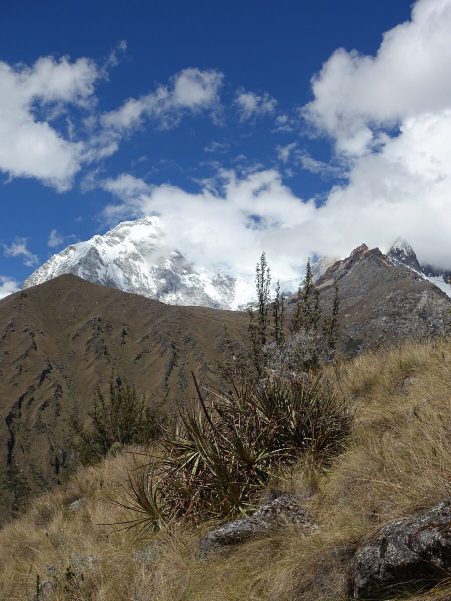 Huascaran and Chopicalqui from the trail to Pisco Basecamp