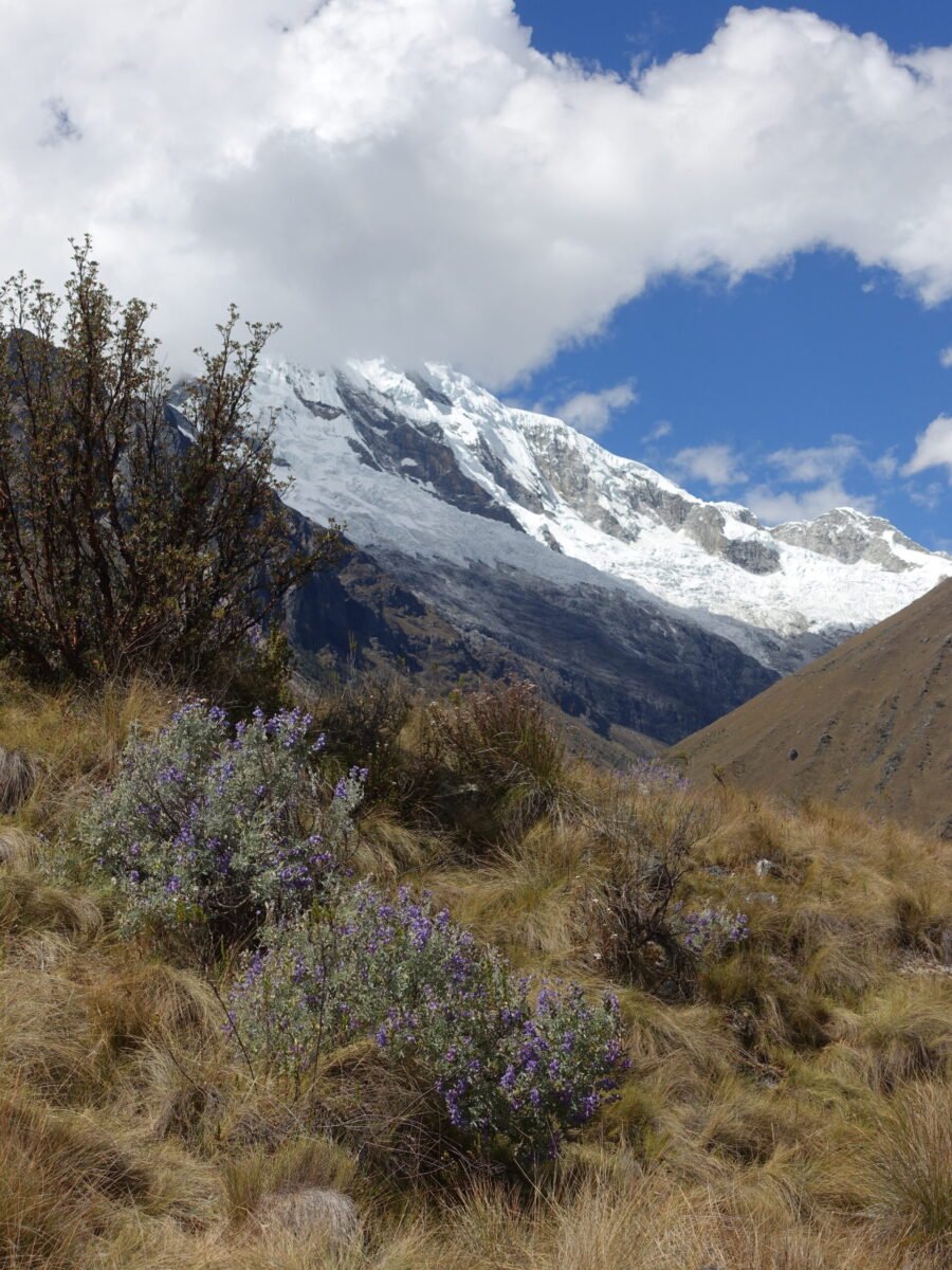 Huascaran and Chopicalqui from the trail to Pisco Basecamp