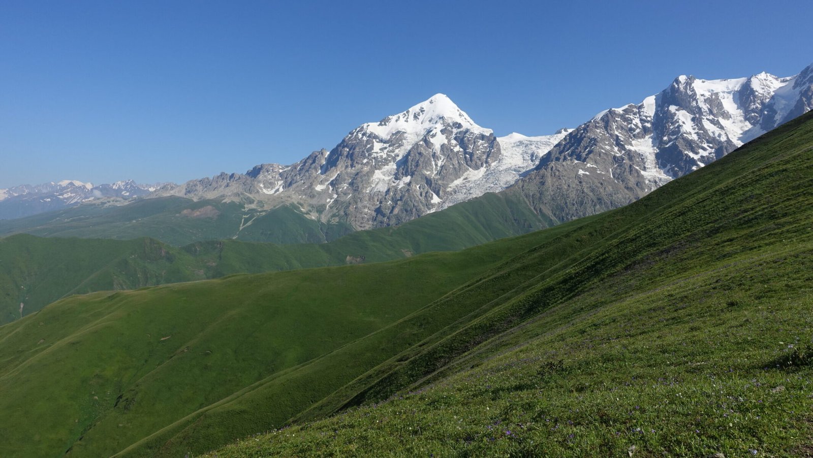 Tetnuldi